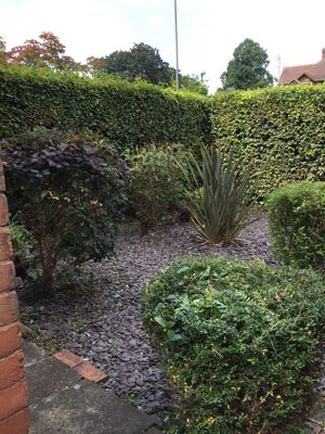 Photo 16- click for photo gallery